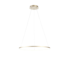 Подвесной светодиодный светильник ST Luce Erto SL904.213.01