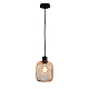 Подвесной светильник Moderli Olivia V11035-1P