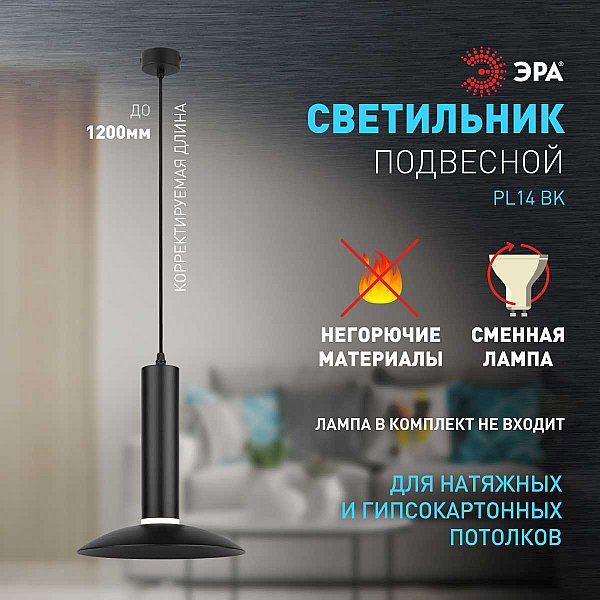 Подвесной светильник ЭРА PL14 BK Б0061363