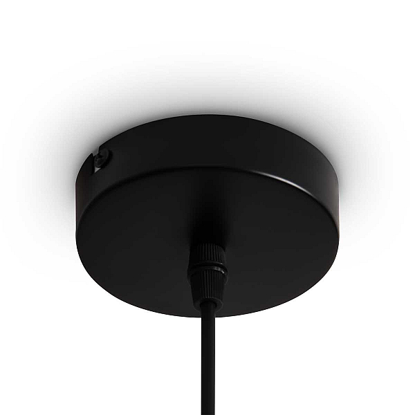 Подвесной светильник Freya Топи / Topi FR5503PL-01B