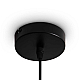 Подвесной светильник Freya Топи / Topi FR5503PL-01B