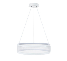 Подвесной светодиодный светильник Lumion Ledio Felisiti 8104/38L