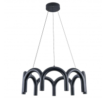Подвесной светодиодный светильник Arte Lamp Warhol A3258LM-45BK