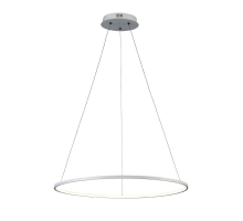 Подвесной светодиодный светильник ST Luce Erto SL904.513.01