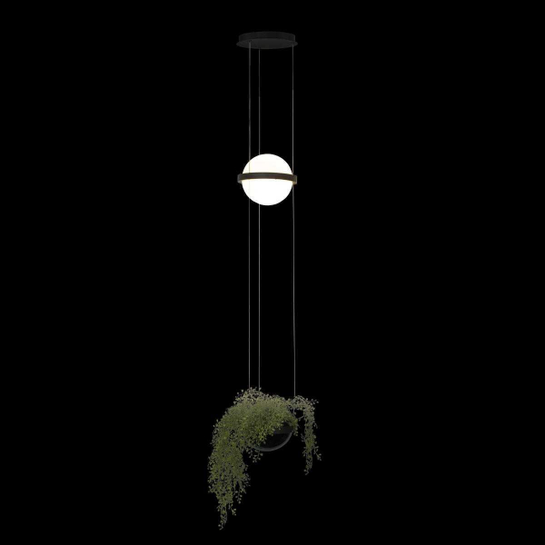 Подвесной светильник LOFT IT Jardin 10121/B Подвесной светильник LOFT IT Jardin 10121/B