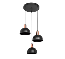 Подвесной светильник Toplight Darleen TL1638R-03BK