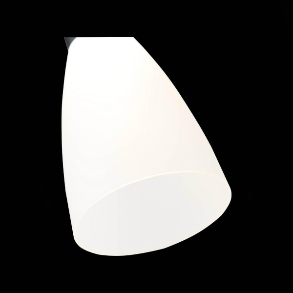 Подвесной светодиодный светильник ST Luce Agioni SL1590.403.01 Подвесной светодиодный светильник ST Luce Agioni SL1590.403.01