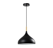 Подвесной светильник Moderli Eline V1291-1P