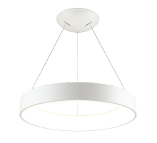 Подвесной светодиодный светильник Aployt Michell APL.052.03.60
