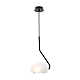 Подвесной светильник Freya Mallow FR5228PL-01B