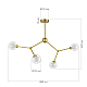 Подвесной светильник Evoluce ARCUS SLE1106-203-04