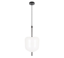 Подвесной светодиодный светильник Loft IT Venice 10223/D White