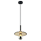 Подвесной светильник Lussole Loft LSP-8488