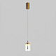 Подвесной светильник Eurosvet Palm 201056/1 LED латунь a072228