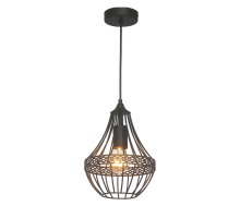 Подвесной светильник Favourite Terra 1800-1P