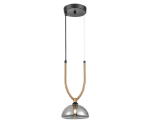Подвесной светильник Vele Luce Astiy VL5434P01