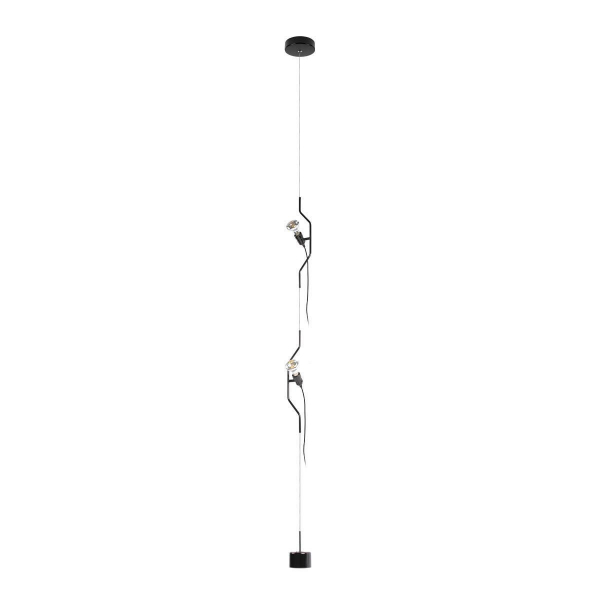 Подвесной светильник Loft IT Parentesi 10346/2 Black Подвесной светильник Loft IT Parentesi 10346/2 Black