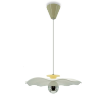 Светильник подвесной Lightera Colorado LE101L-40Y