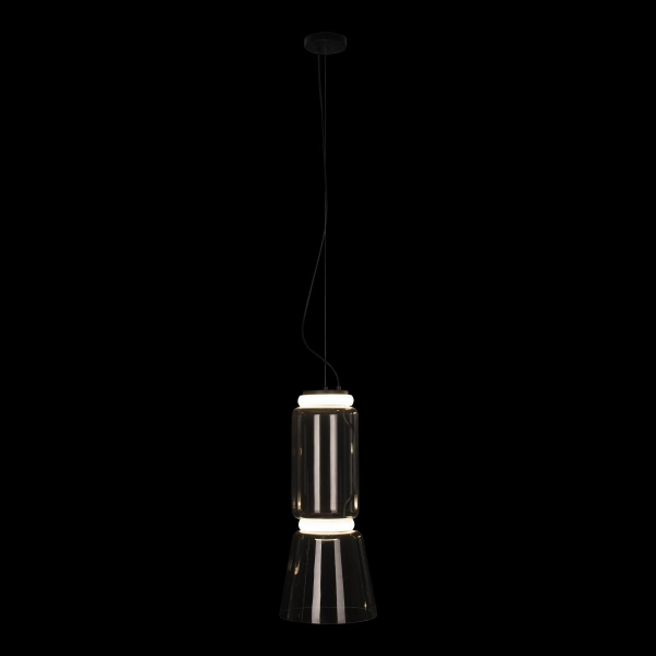 Подвесной светодиодный светильник Loft IT Noctambule 10193/S Подвесной светодиодный светильник Loft IT Noctambule 10193/S