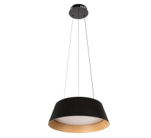 Подвесной светильник LOFT IT Evans 10224P Black