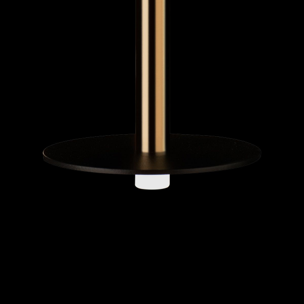 Подвесной светодиодный светильник Loft IT Reed 10358/830 Disk AB Подвесной светодиодный светильник Loft IT Reed 10358/830 Disk AB