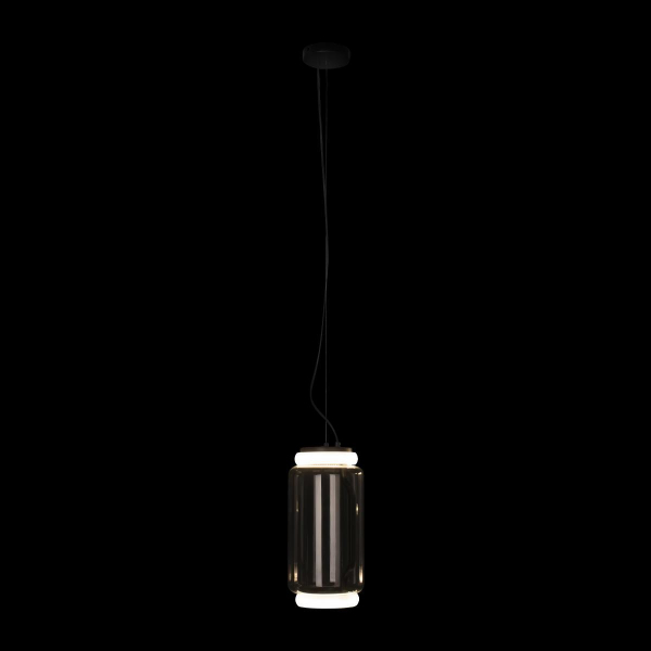 Подвесной светодиодный светильник Loft IT Noctambule 10194/S Подвесной светодиодный светильник Loft IT Noctambule 10194/S