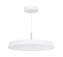 Подвесной светодиодный светильник Arlight SP-Elegant-R500-37W Warm3000 033925(1)