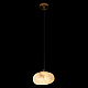 Подвесной светильник Loft IT Fionora 10531B