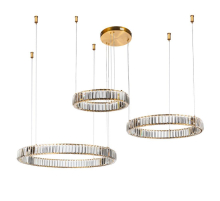 Подвесной светодиодный светильник Divinare Renata 1135/17 SP-106