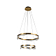 Подвесной светодиодный светильник Kink Light Кастела 08263-60+40,36