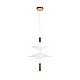 Подвесной светильник Loft IT Skylar 10244/B Brass