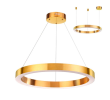 Подвесной светодиодный светильник Odeon Light L-vision Brizzi 3885/35LG
