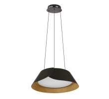 Подвесной светильник LOFT IT Lane 10370P Black