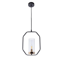 Подвесной светильник Arte Lamp Celaeno A7004SP-1BK