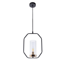 Подвесной светильник Arte Lamp Celaeno A7004SP-1BK