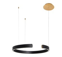 Подвесной светодиодный светильник Loft IT Ring 10025/600 Black