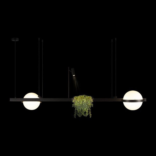 Подвесной светодиодный светильник Loft IT Jardin 10121/D Подвесной светодиодный светильник Loft IT Jardin 10121/D