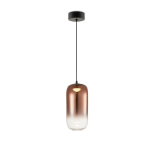 Подвесной светодиодный светильник Freya Idol FR6134PL-L4C