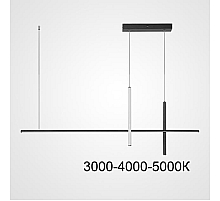 Подвесной светильник Imperium Loft Squirrel L120 Black Трехцветный Свет 220666-23