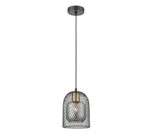 Подвесной светильник Vele Luce Diodor VL6402P01
