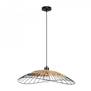 Подвесной светильник Arte Lamp WOODSTOCK A7061SP-1BK