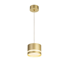 Подвесной светильник Citilux Hardy CL002P12
