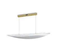 Подвесной светодиодный светильник Freya Cloud FR5441PL-L40G