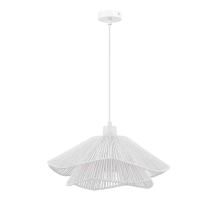 Подвесной светильник Evoluce VERVE SLE6023-503-01