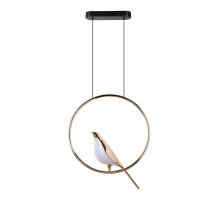 Подвесной светодиодный светильник Divinare Summer 1188/01 SP-9