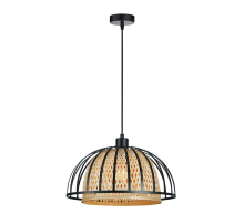 Подвесной светильник Arte Lamp WOODSTOCK A7071SP-1BK