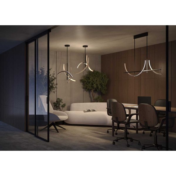 Подвесной светильник Maytoni MOD428PL-L20BK