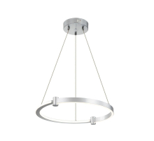 Подвесной светодиодный светильник Indigo Circolato 14015/1P Silver V000078L
