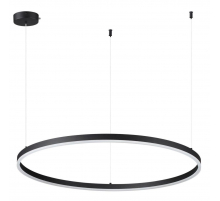 Подвесной светодиодный светильник Lumion Ledio Echo 6530/67L