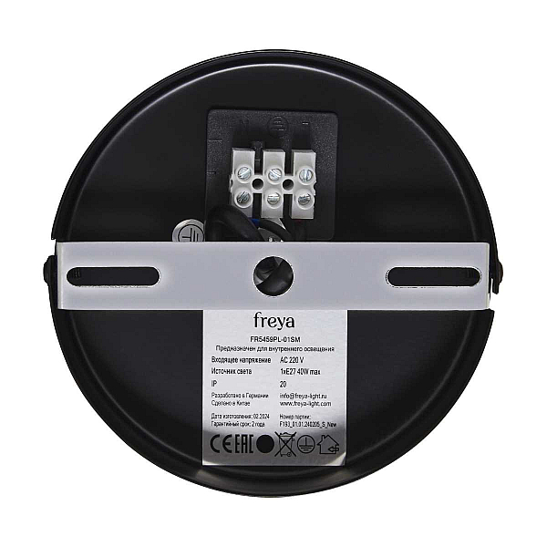 Подвесной светильник Freya Плюмо / Plumo FR5459PL-01SM